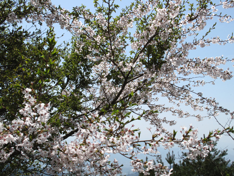 20140419hike (123)